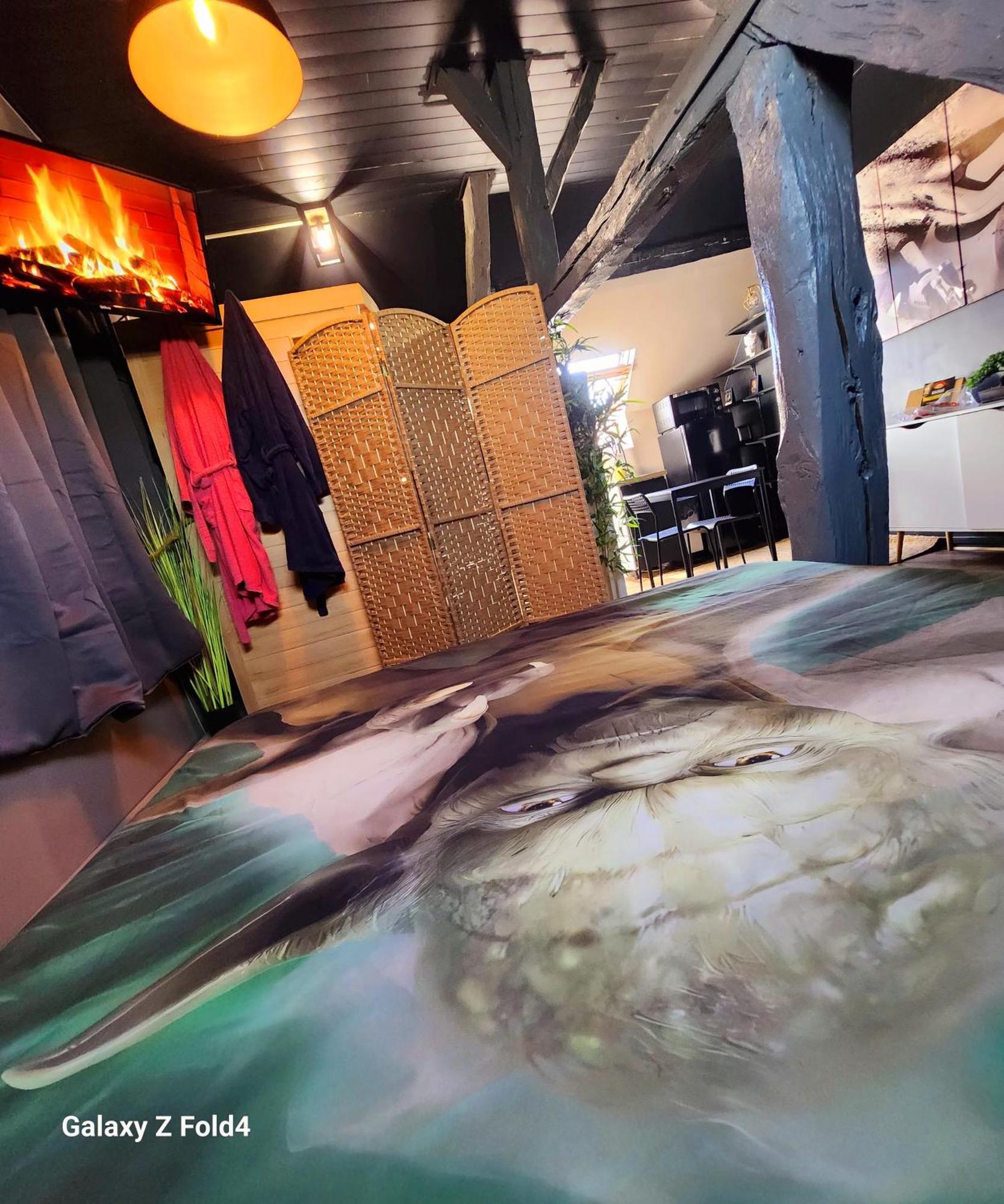 Starwars Sauna Jacuzzi Balneo A 10 Minutes De Disneyland Appartement Conde-Sainte-Libiaire